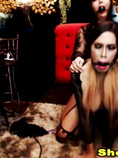 Horny Shemale Duo Loves Ass Fucking Action