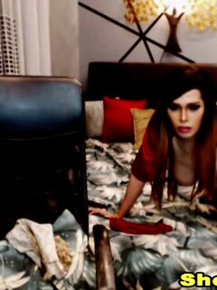 Playful Shemale Couple Fuck Each Other