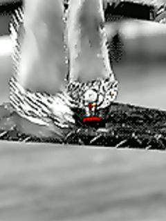 tumblr_n4sxsoexXX1toxpnto1_1280