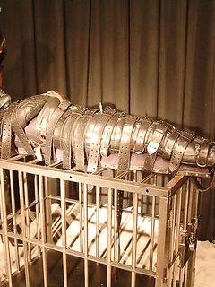 tumblr_n466vfHizF1t0pj29o1_1280