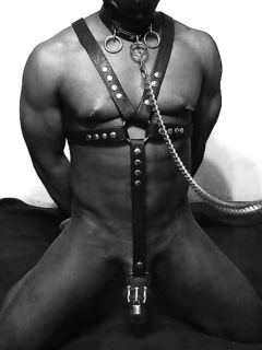 tumblr_nbpcjdSnJE1rispuco1_1280