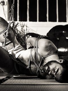 tumblr_ney6odcsq21qj52opo2_1280