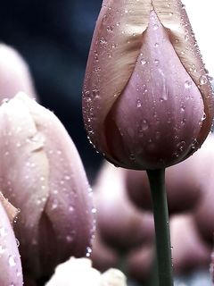 tumblr_odzeimZGj11ty00tho1_1280