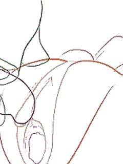 tumblr_nq011vaSLd1uogyvqo1_400