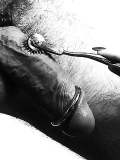 tumblr_ntbpdqL5Lj1toxpnto1_1280