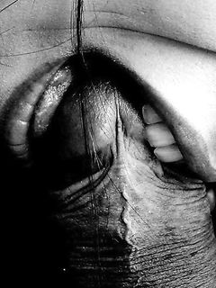 tumblr_lpj2bnVfAA1qen0z1o1_1280