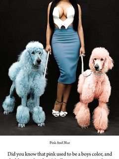 tumblr_om5g0slXrL1vk3i03o1_1280