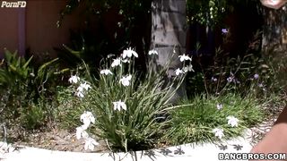 MagicalFeet - Ivy Winters Colorful Candy Toes