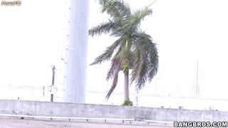 MagicalFeet - Rooftop Fun Roxy Love