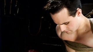 CaptiveMale - 217 Berlin, Max Powers