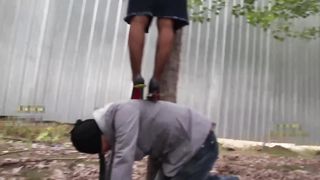 New Queen - 482019 - 018