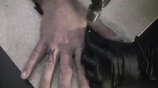 New Queen - 582019 - 05