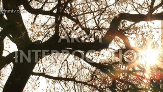 New Queen - 482019 - 039