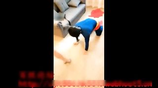 New Queen - 482019 - 053