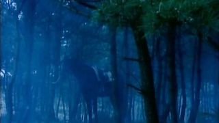 New Queen - 482019 - 058