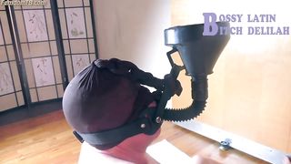 New Queen - 482019 - 079