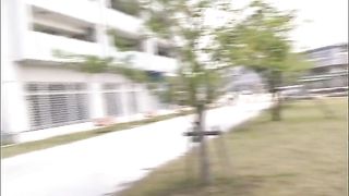 New Queen - 482019 - 081