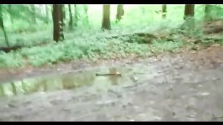 Dogging In The Woods, (Preview)