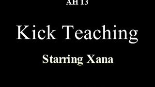 xana vs steve kicking lesson