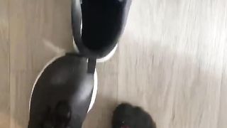 Princess Bridgette Black Socks