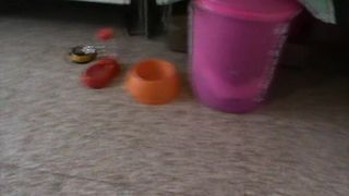 Italian mistress pet femdom