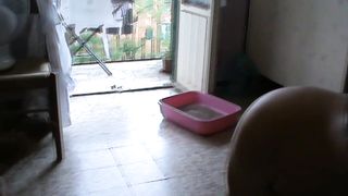 Italian mistress pet femdom