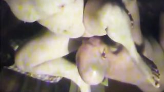 Eating out a horny 44yo married cheater 2