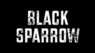 black sparrow