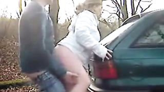 Chubby öffentliches Auto doggy