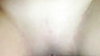 Vreloguza vranjanka SERBIAN 3