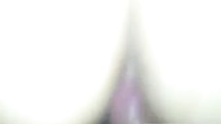 Vreloguza vranjanka SERBIAN 3