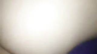 Vreloguza vranjanka SERBIAN 3