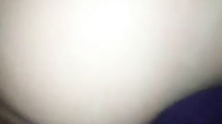 Vreloguza vranjanka SERBIAN 3