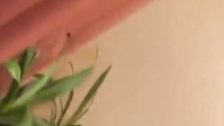 Persuaded to give her ass for fuck