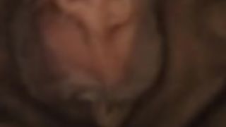 Chinese Mistress humiliate & degrade her bitch