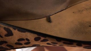 FemDomFoto - Lady Agatha - Slapped Hard With Leopard Ballerinas