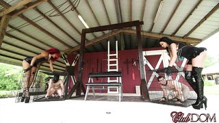 Clubdom - Daisy&Raven - Getting Her Off Slave Training
