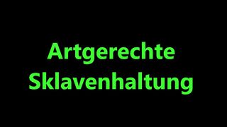 DeutscheDominas - Emerald - Proper Slavery