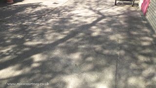 MistressCourtney - Lead Me To You Mistress