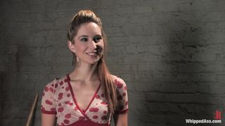 WA - Calico and Maitresse Madeline (5997)