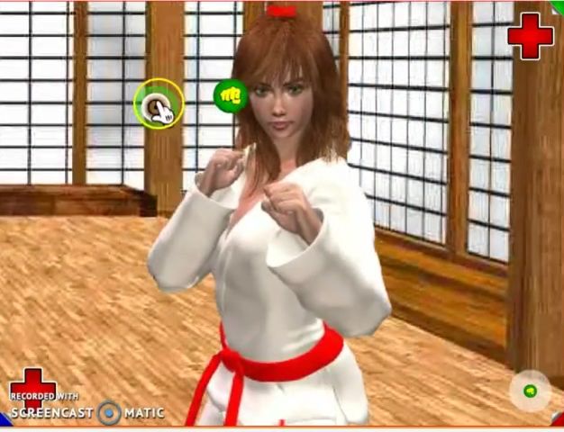 Karate gameplay