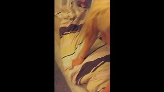 Good Blonde Slut Hotgirl Cuckold