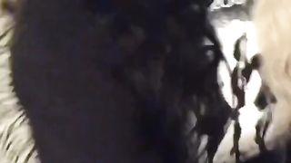 Amateur Facesitting 3