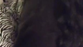 Amateur Facesitting 3