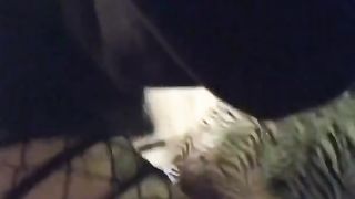 Amateur Facesitting 4