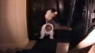 Girl anally abused in stairs