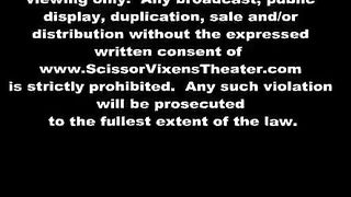 Brianna Cole svdl 940 butterflies and scissors