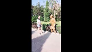 Self Defense against a human statue, and a non-human one