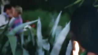 Movie - classic porn