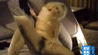 Hairy Blonde Striptease Classic